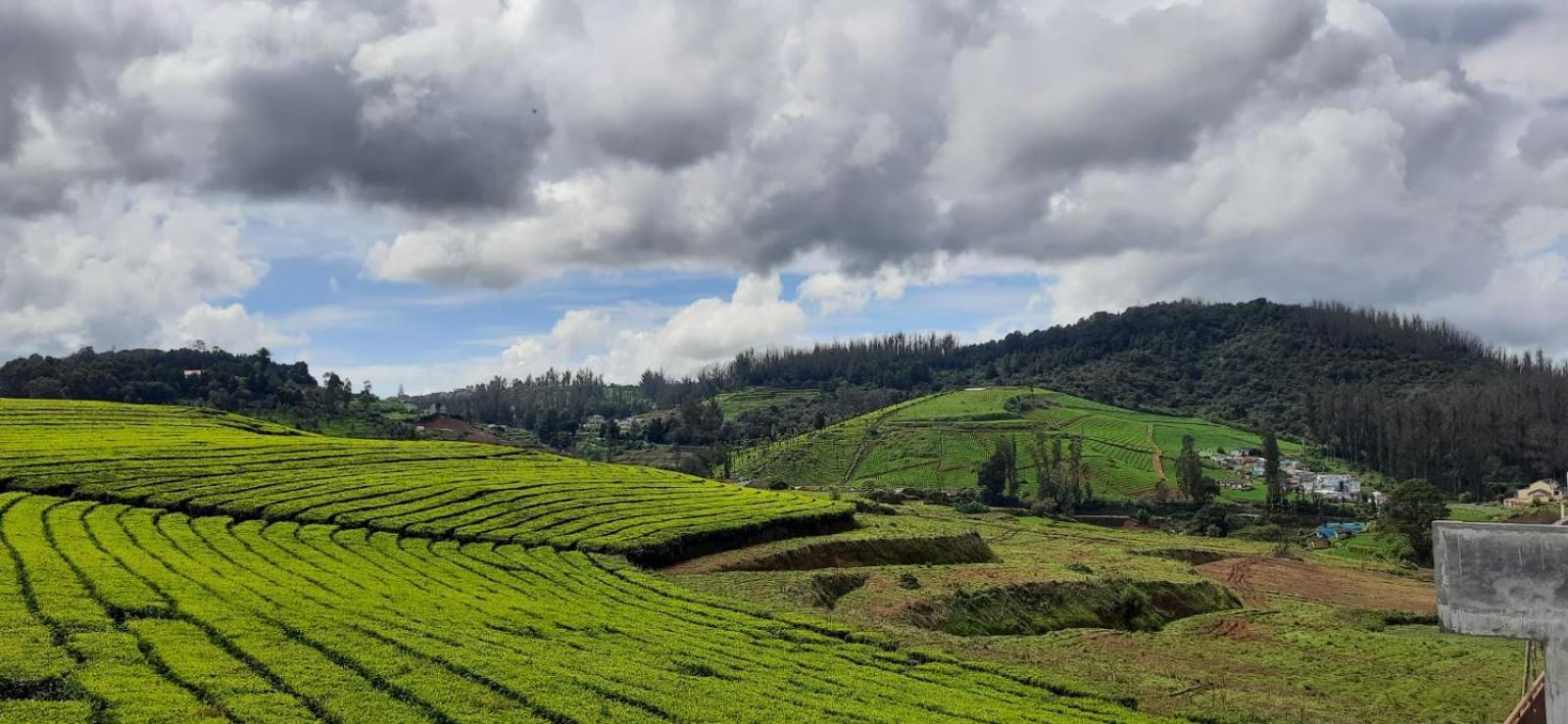 Rose Garden Enclave For Families & Executives Bed and Breakfast Ooty Buitenkant foto