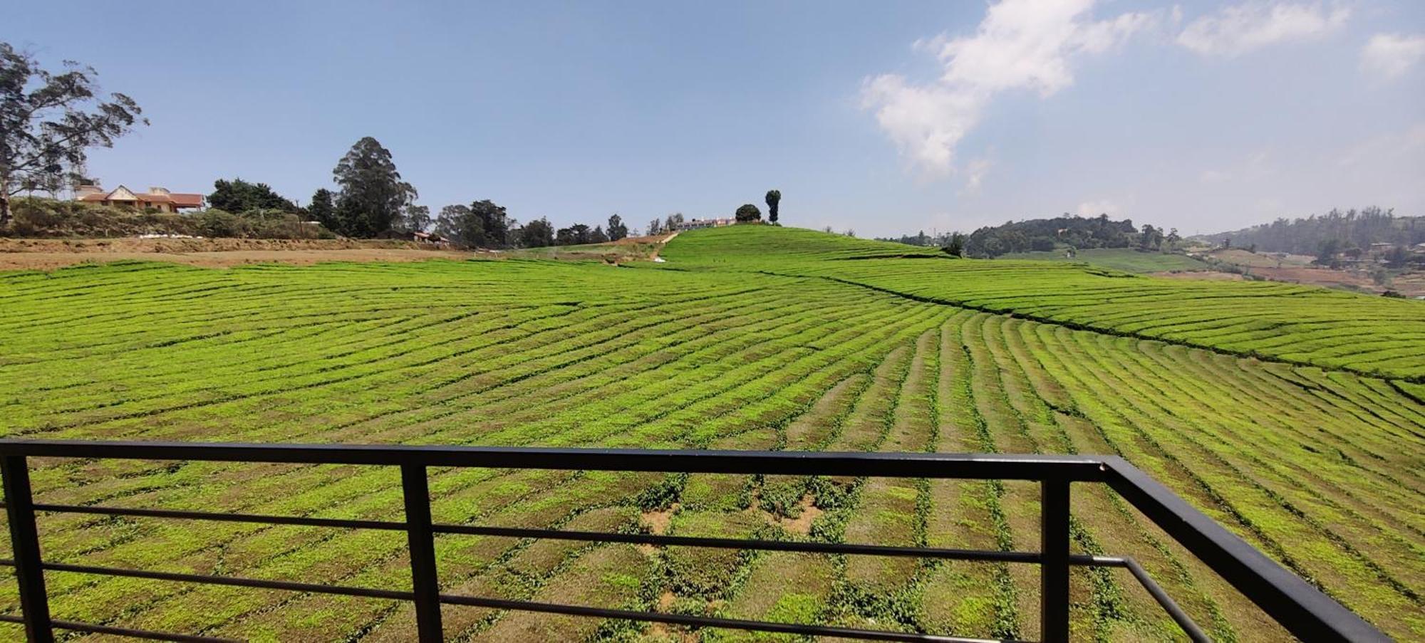 Rose Garden Enclave For Families & Executives Bed and Breakfast Ooty Buitenkant foto